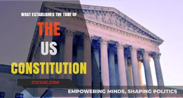 The Constitution's Tone: Framers' Intent and Influence