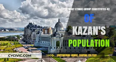 Kazan's Population: Ethnic Diversity and the Tatar Majority