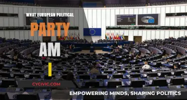Discover Your European Political Party Match: A Comprehensive Guide
