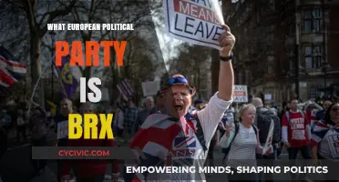 Understanding BRX: Which European Political Party Does It Align With?