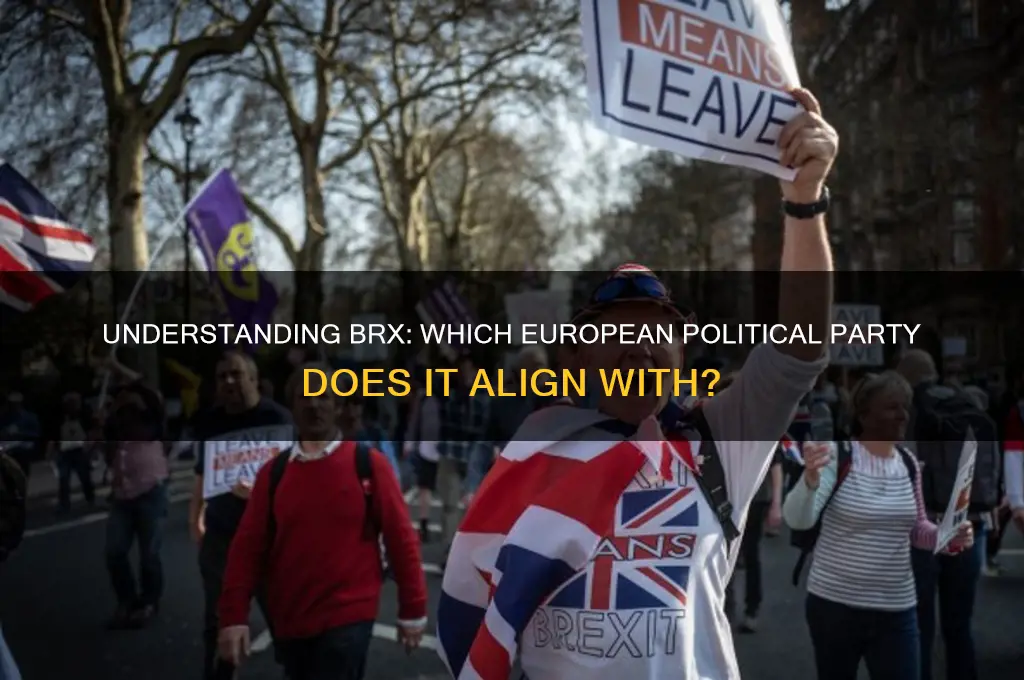 what european political party is brx