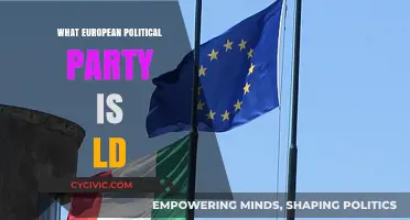 Understanding the European Political Affiliation of the Liberal Democrats