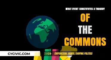 Understanding the Tragedy of the Commons