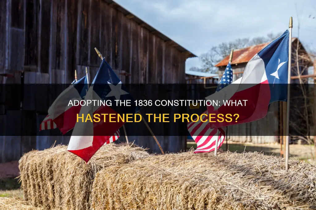 what event made delegates rush to adopt the 1836 constitution