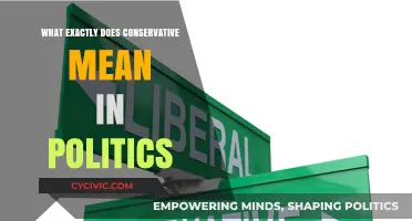 Decoding Conservatism: A Deep Dive into Political Ideology