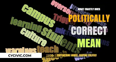 Decoding Political Correctness: A Comprehensive Guide to Understanding Its Implications