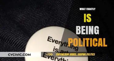 Understanding Politics: Decoding What It Means to Be Political