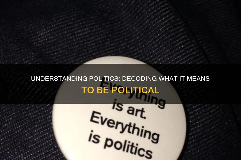what exactly is being political