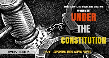 Cruel and Unusual Punishment: Understanding the Constitution's Eighth Amendment