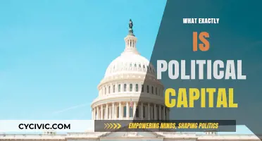 Understanding Political Capital: Power, Influence, and Strategic Currency Explained