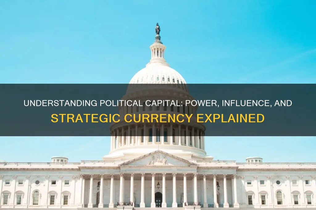 what exactly is political capital