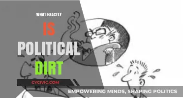 Unveiling Political Dirt: Tactics, Impact, and Ethical Boundaries Explained