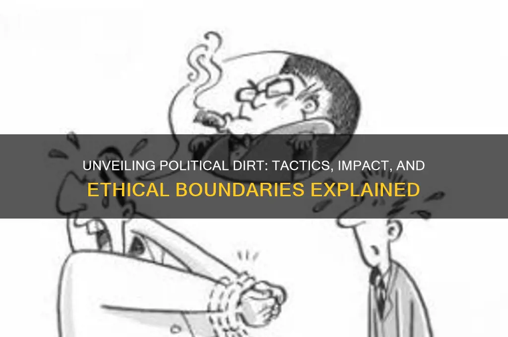 what exactly is political dirt
