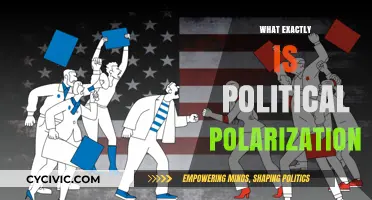 Understanding Political Polarization: Causes, Effects, and Solutions Explained