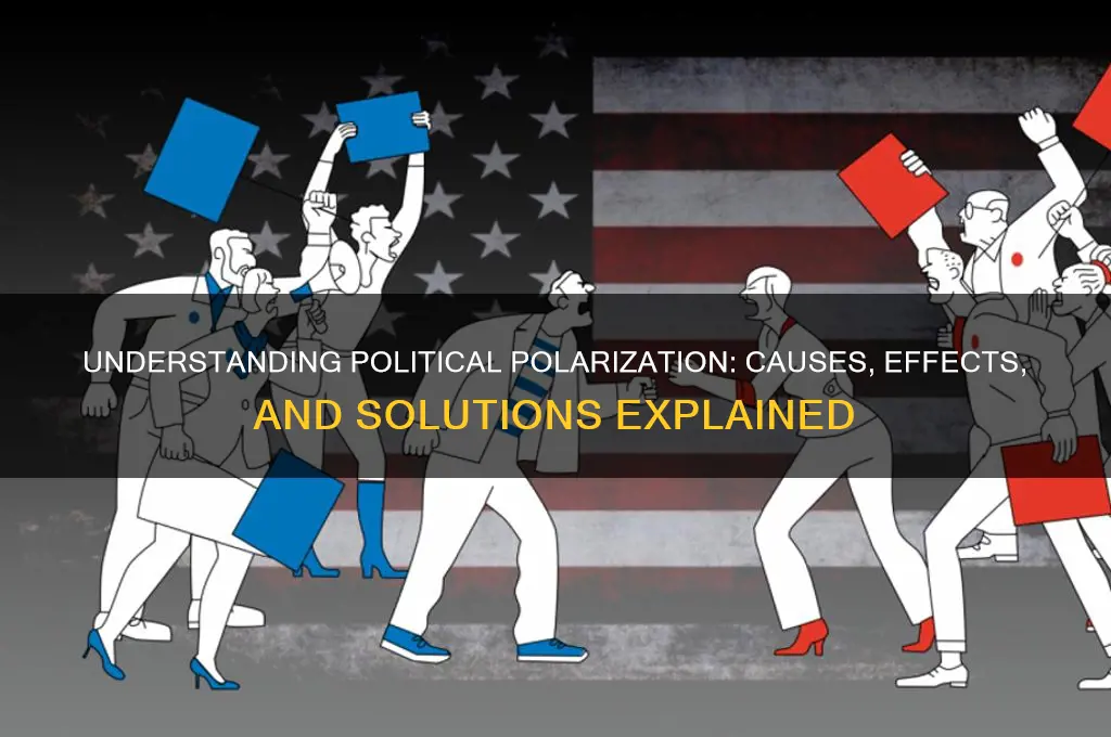 what exactly is political polarization