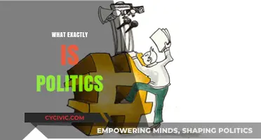 Understanding Politics: Power, Governance, and Society Explained Simply