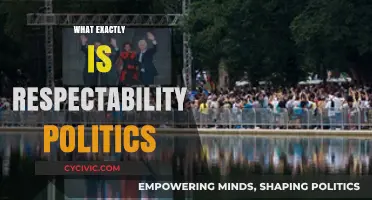 Understanding Respectability Politics: Unveiling Its Impact and Implications