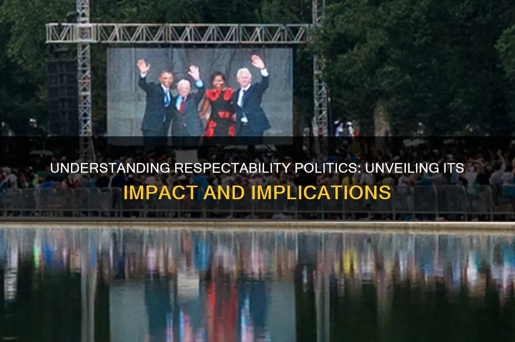 what exactly is respectability politics