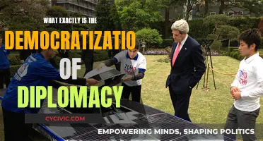 Diplomacy for All: Understanding Democratization of Diplomacy