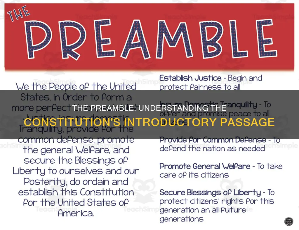 what exactly is written in the preamble of the constitution