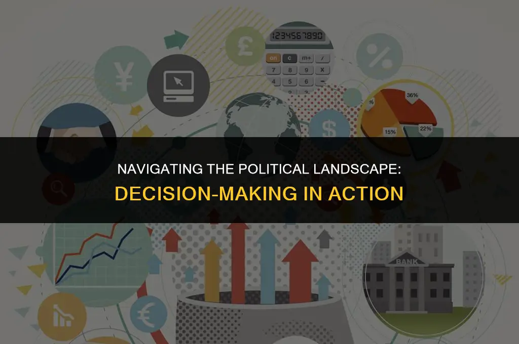 what examples of the political decision-making process can you identify