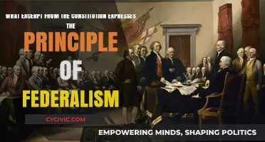 Federalism's Constitutional Expression: Exploring the US Constitution
