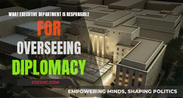 Diplomacy Oversight: Executive Department's Role and Responsibility