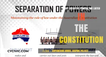 Executive Powers: Exploring the Constitution's Listed Authorities