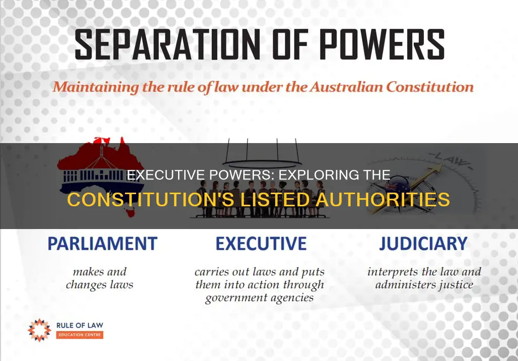 what executive powers are listed in the constitution