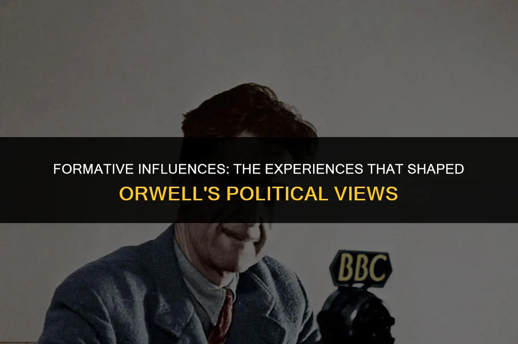 what experiences help shape orwell