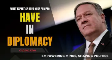 Mike Pompeo's Diplomatic Expertise: A Critical Analysis