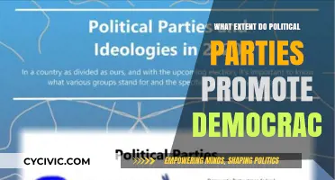 Political Parties and Democracy: Allies or Adversaries in Governance?