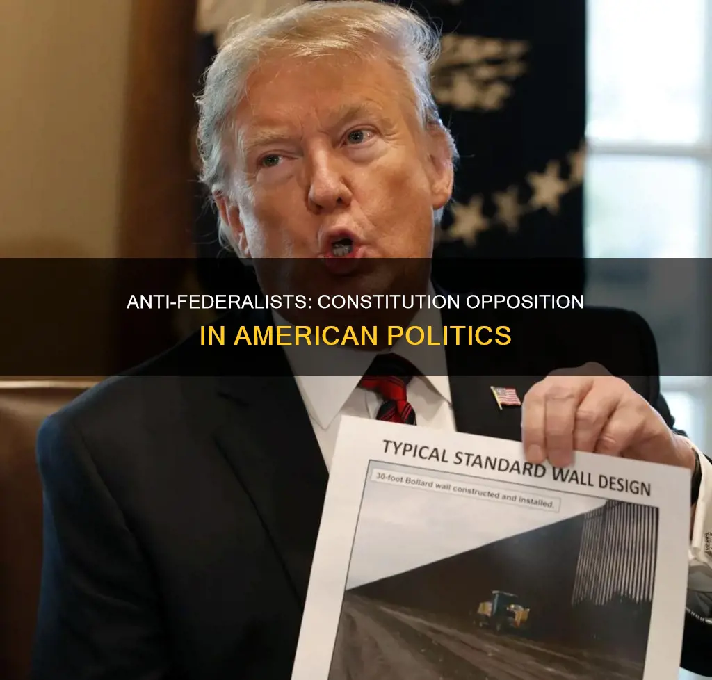 what faction of american politicians opposed the constitution