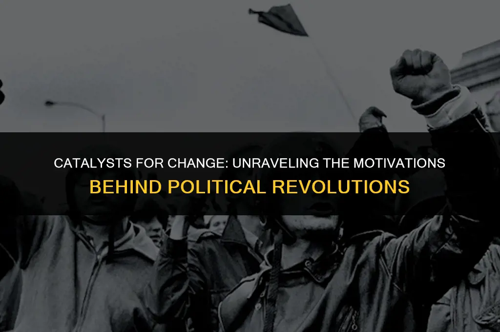 what factor can motivate people to start a political revolution