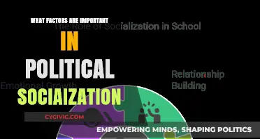 Shaping Citizens: Key Factors in Political Socialization