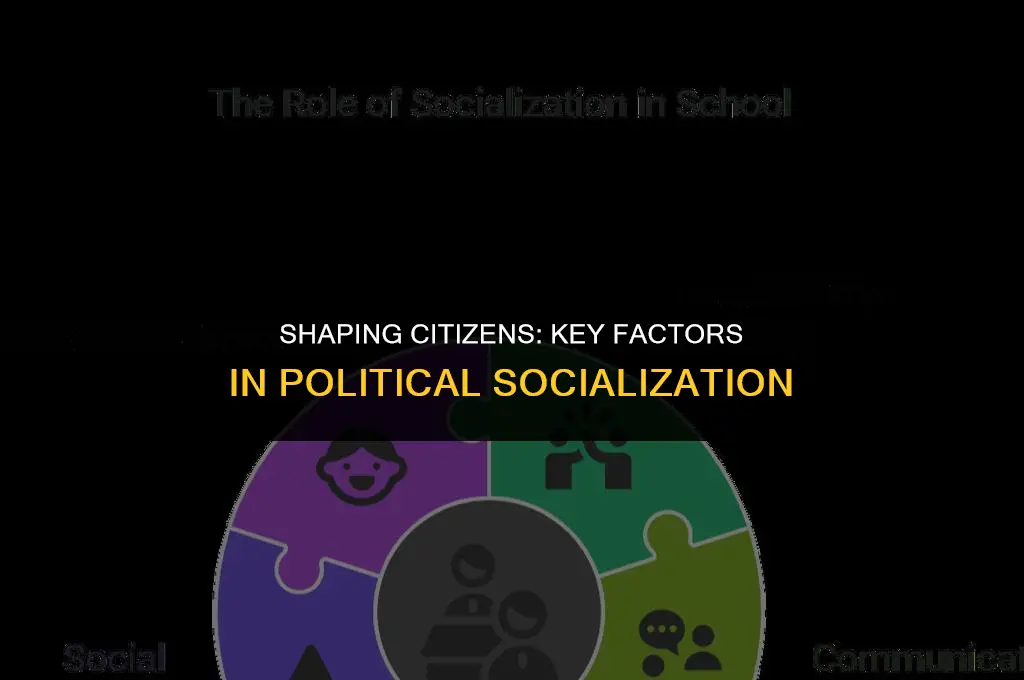 what factors are important in political sociaization