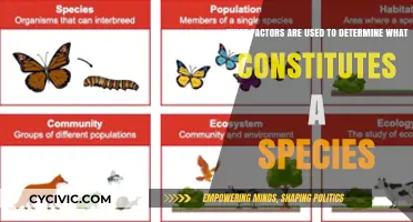 Key Factors Defining Species