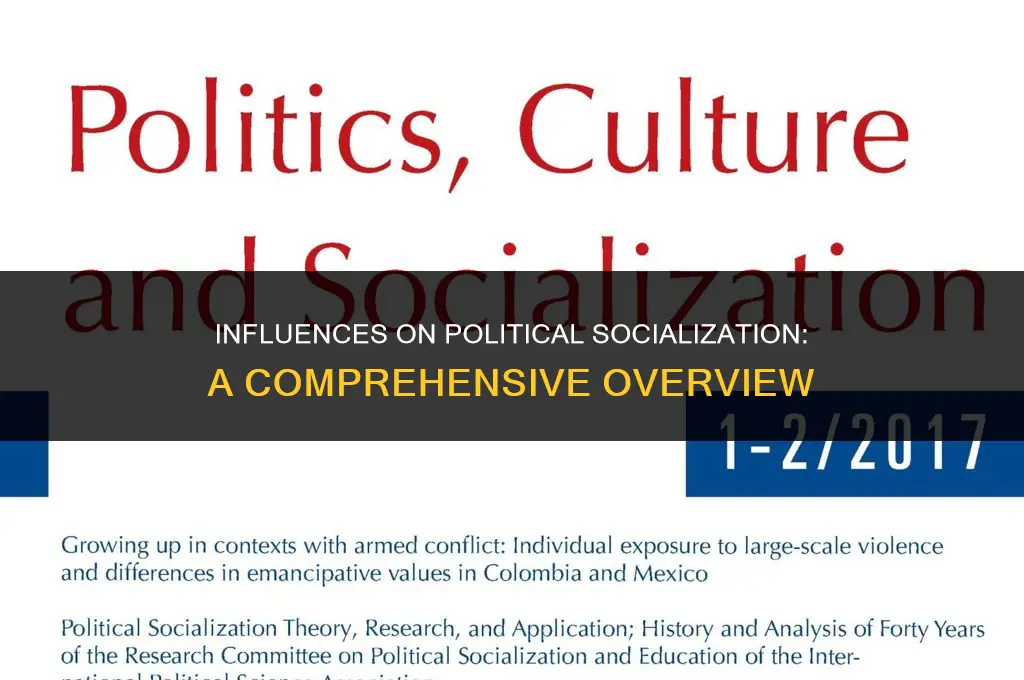 what factors can shape political socialization