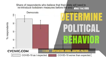 Understanding Political Behavior: Key Factors Shaping Public Engagement and Decisions
