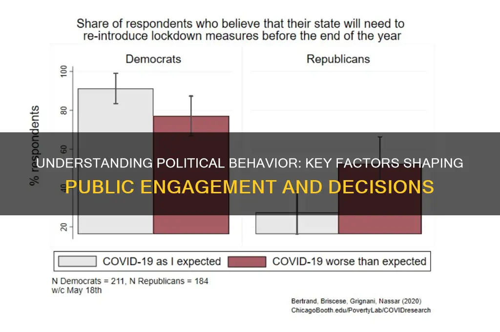 what factors determine political behavior