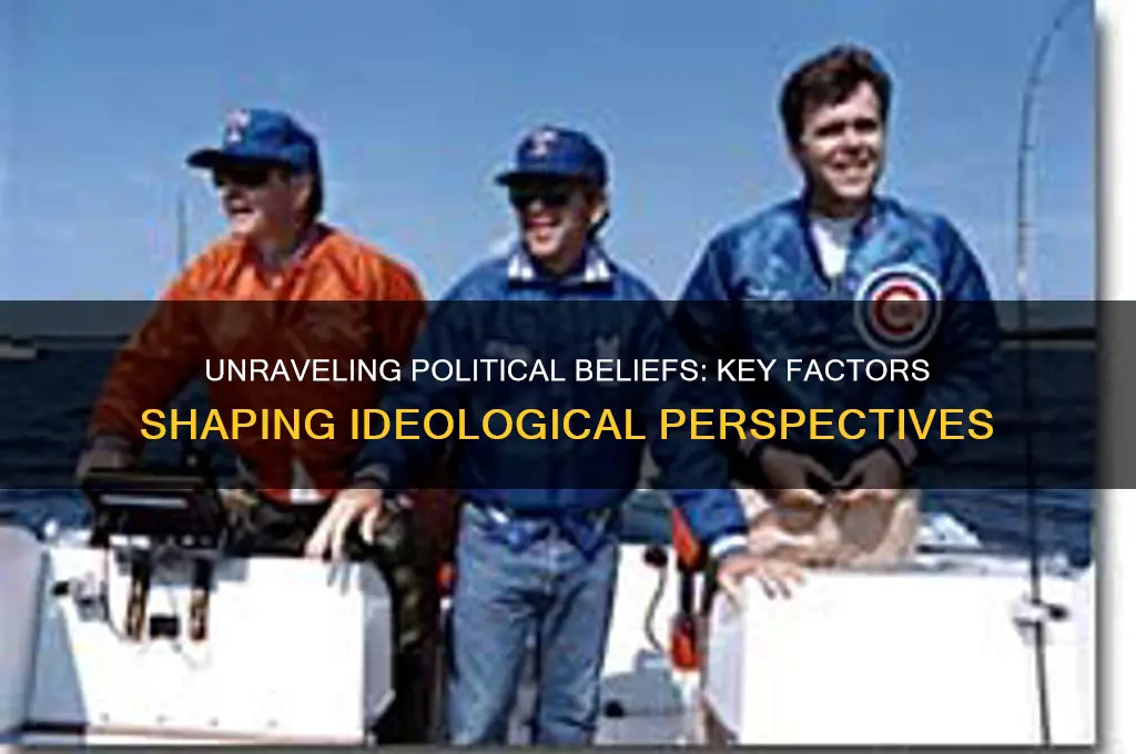 what factors determine political ideology