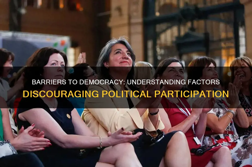 what factors discourage political participation