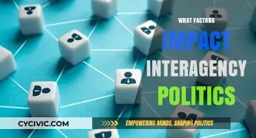 Navigating Interagency Politics: Key Factors Shaping Collaboration and Conflict
