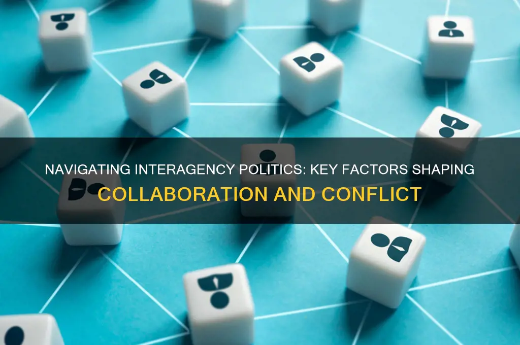 what factors impact interagency politics