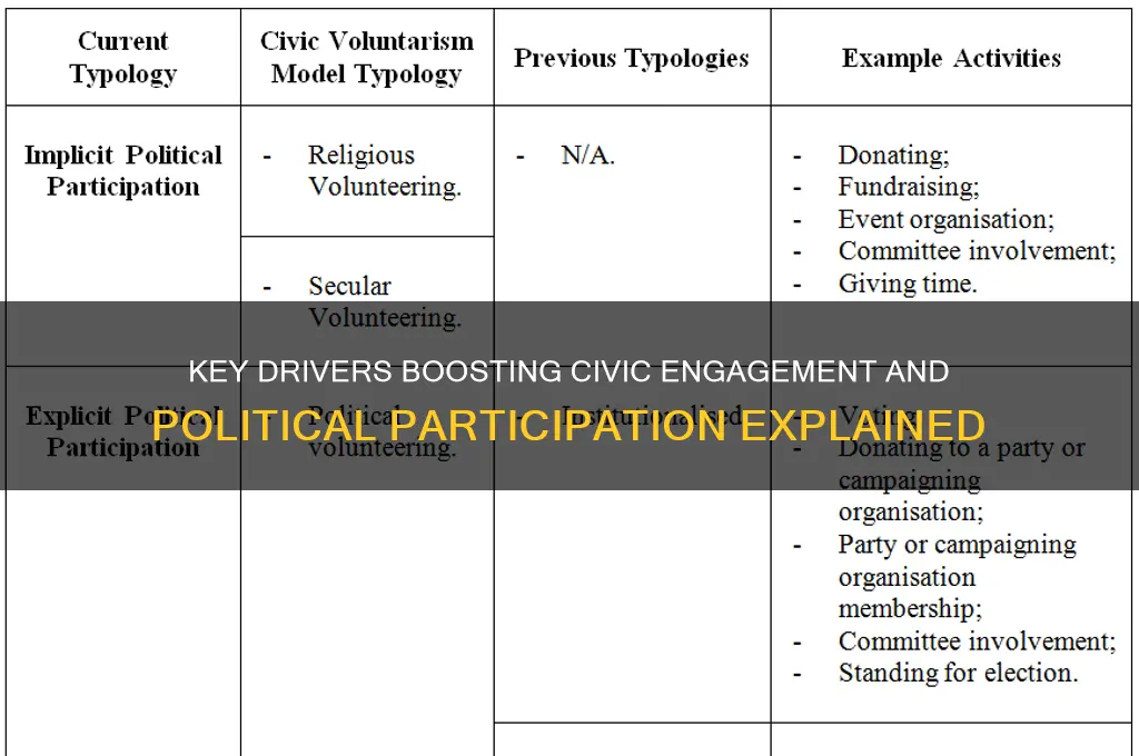 what factors increase political particpation