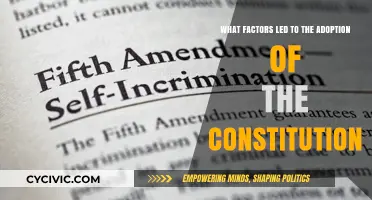 Constitution Adoption: Factors Behind the United States' Birth