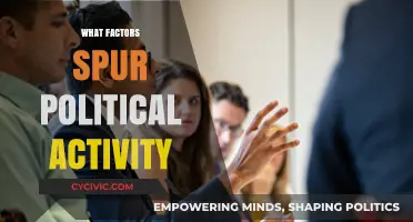 Catalysts of Civic Engagement: Unraveling the Drivers of Political Activity
