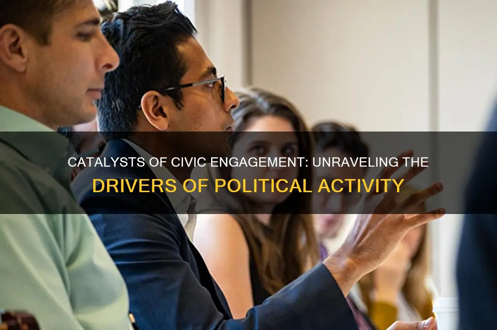 what factors spur political activity