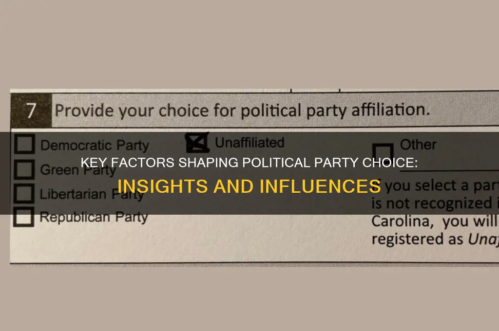 what factors tend to influence political party choice