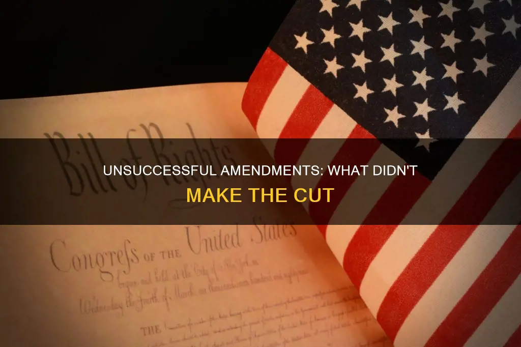 what failed to become a part of the constitution because